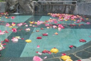 The rose hot spring - my favorite pool!