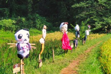 Rice Field scarecrows, September 27th
