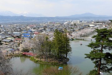 Garyu Park is one of the prefecture's top sakura spots