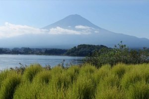 Вид Фудзи-сан и озера Кавагутико