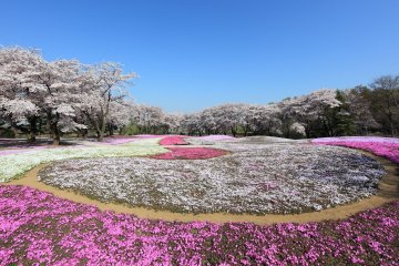 Seasonal color at the Tobu Treasure Garden