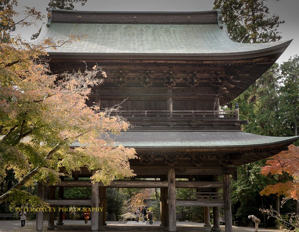 Autumn leaves, Sanmon gate.