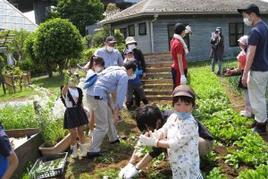 The park offers a variety of hands-on educational activities related to agriculture