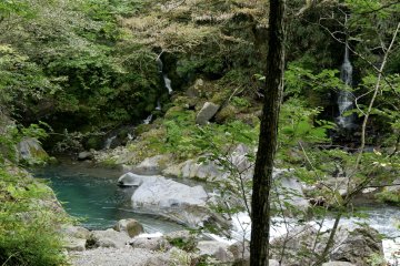 Many hidden miniature waterfalls along the trail