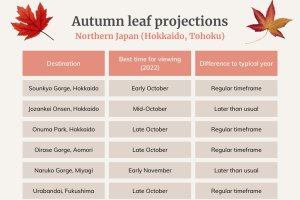 Autumn Leaf Projections for 2022