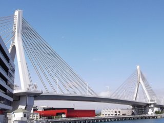 The harbor bridge
