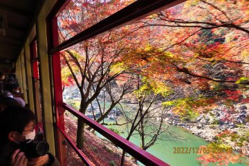 Sagano Romantic Train Ride view from open window