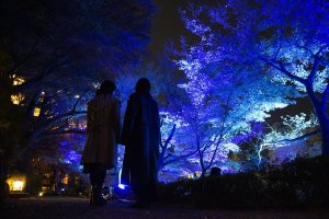 Tokyo Blue Garden Winter Festival