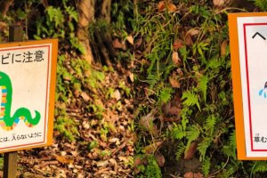 Kogane Forest Park Poison Snake Warnings