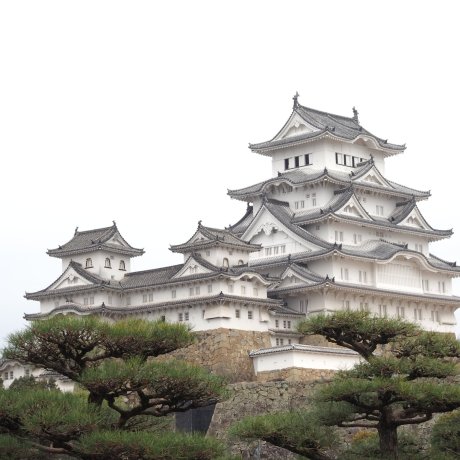 A New Way to Experience Himeji Castle