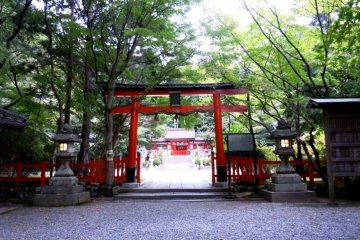 Традиционные красные ворота Тории в храме Охарано на холмах позади Киото