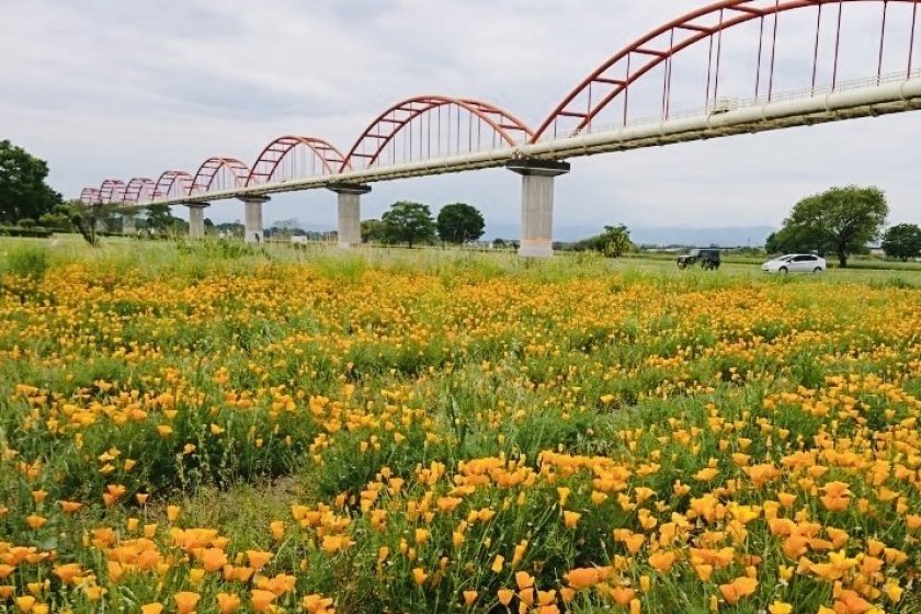 Fukiage site with Japan\'s longest water-pipe bridge