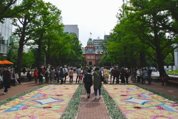 Sapporo Flower Carpet