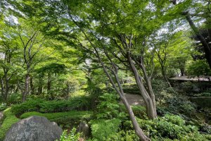 Four Picturesque Parks in Shinagawa