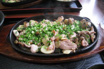 Sliced chicken layered on top of sliced garlic and garnished with green onions.