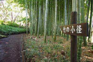 A little patch of bamboo forest enhances the traditional atmosphere of the Tonogayato garden.