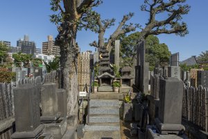 The grave lies beneath gnarling trees. It was an honour to stand before her at Myokoji