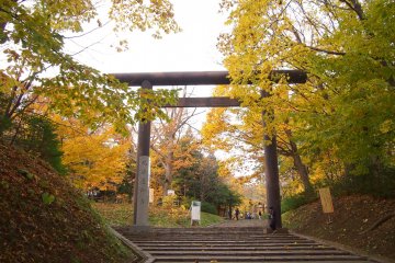 The entrance to the Hokkaido Jingu from Maruyama Park, which is covered by trees in their fall colour.