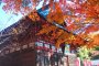 Autumn at Shimabuji Temple
