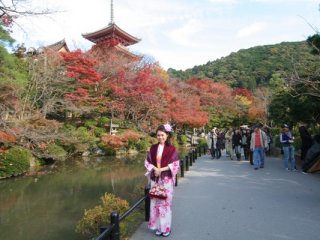 可以穿起和服在這風和日麗的京都拍照實在太幸福了。
