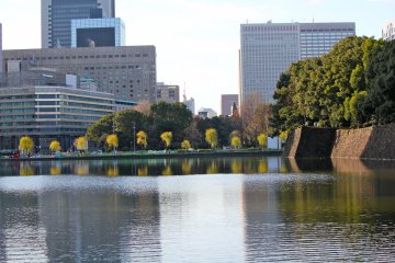 Imperial Palace Moat in Tokyo