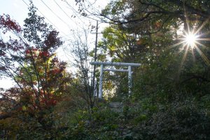 The view of Shirane Shrine from the room window