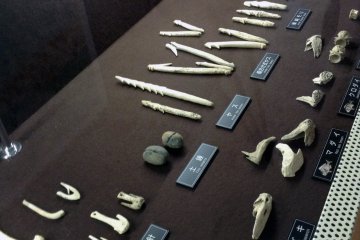 This display features tools such as fish hooks made from animal bones.