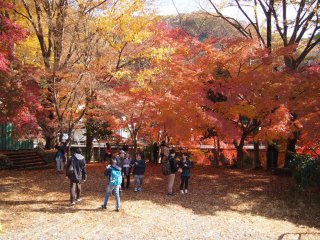 Mt Takao was teeming with people on a Tuesday morning. It seemed to be a local favourite for a family outing or a romantic date.