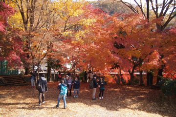 Mt Takao was teeming with people on a Tuesday morning. It seemed to be a local favourite for a family outing or a romantic date.