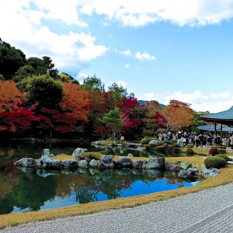 Taman Hojo Tenryu-ji Kyoto