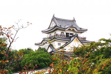 <p>Glimpses of Kishiwada Castle as you approach from the street</p>
