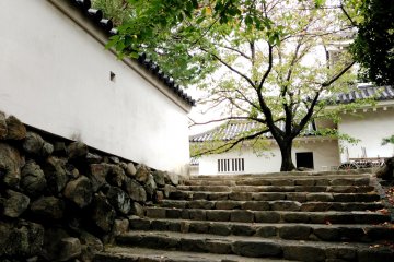 <p>The Silent Stone Steps that winds its way to the main building at Kishiwada Castle</p>