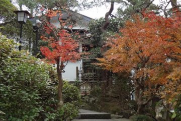 Stone steps lead you up to a simple but elegant entrance, and well-trimmed hedges and colorful leaves will make you feel that you have been invited to the house of an old Japanese friend.
