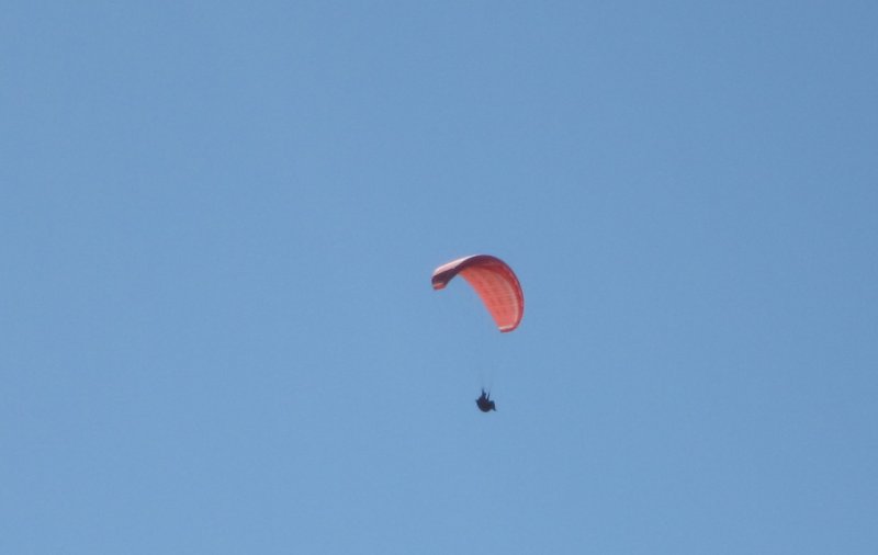 Paraglider floating in the blue sky