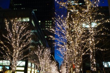 도쿄역 근처 거리의 크리스마스 조명 이곳은 도쿄역 마루노우치 출구 맞은편 마루노우치 빌딩 바로 뒤편 길이다