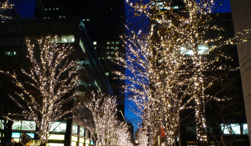 <p>Christmas lights in the street near&nbsp;Tokyo station.&nbsp;This is the street just behind the Marunouchi&nbsp;Building opposite the&nbsp;Marunouchi&nbsp;exit of&nbsp;Tokyo Station.</p>