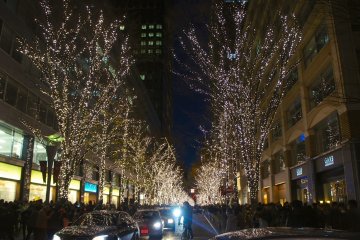 <p>The streets on&nbsp;the backside of the Marunouchi&nbsp;Building attracts a lot of shoppers who stop by to watch the illumination;&nbsp;the illumination can even be enjoyed from inside a car, as&nbsp;there are no traffic restrictions.</p>