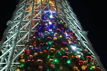 크리스마스 트리와 배경에 있는 스카이 트리. 많은 사람들이 모여들었기 때문에 이것이 가장 인기 있는 전망인 것 같았다