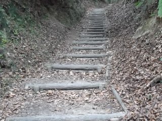 Terdapat tangga tanah yang membantu Anda untuk mendaki hingga ke atas