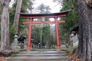 大瀧神社岡太神社の大鳥居。樹齢数百年の杉木立が鬱蒼と茂っている