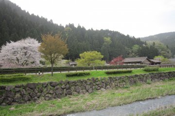 The restored Samurai residences viewed from the Asakura family residence