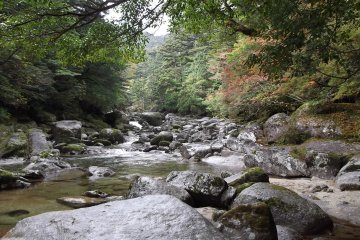 <p>The water flowing in the shallow river is one of the few sounds</p>