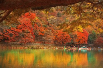 <p>สีสันของฤดูใบไม้ร่วงซึ่งสะท้อนภาพบนแม่น้ำโฮะซุกะวะ (Hozugawa)</p>