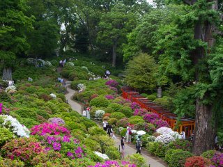 Khu vườn được xây dựng kế bên trên một ngọn đồi; có một vài con đường đi bộ dẫn qua, vì vậy bạn sẽ luôn được chiêm ngưỡng cảnh quan khác nhau của khu vườn. 