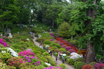 정원은 언덕과 나란히 만들어졌고, 몇 개의 산책로가 있어 항상 정원의 다른 경치를 볼 수 있다