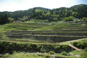Looking up at the Terraced Fields