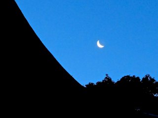 Crescent moon hanging over the shrine and forest