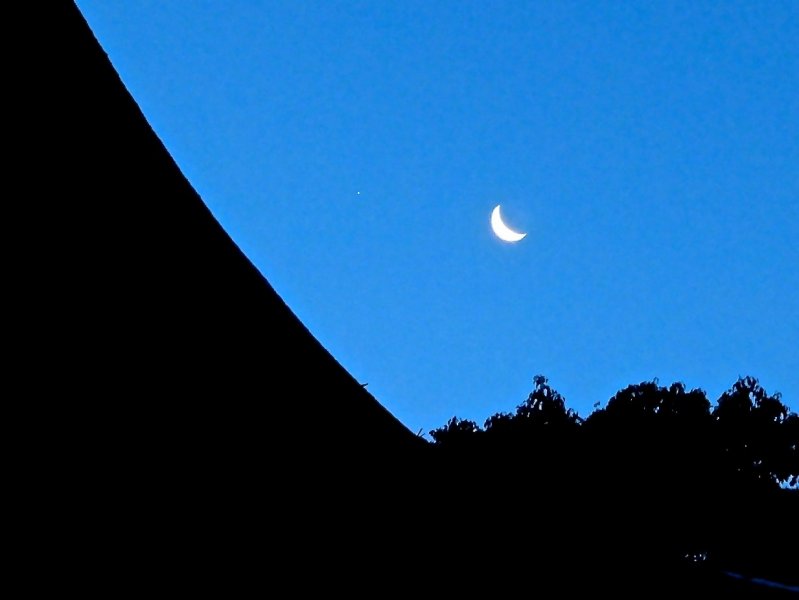 <p>Crescent moon hanging over the shrine and forest</p>