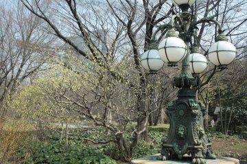 <p>ลองตามหาโคมไฟนี้ อีกสัญลักษณ์หนึ่งของพระราชวังโตเกียว</p>