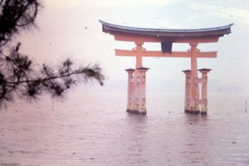 Faded Picture of the Torii